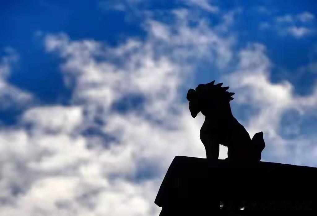 单亲妈妈仅退款童装勒索3千被刑拘，孩子今后由谁来抚养？