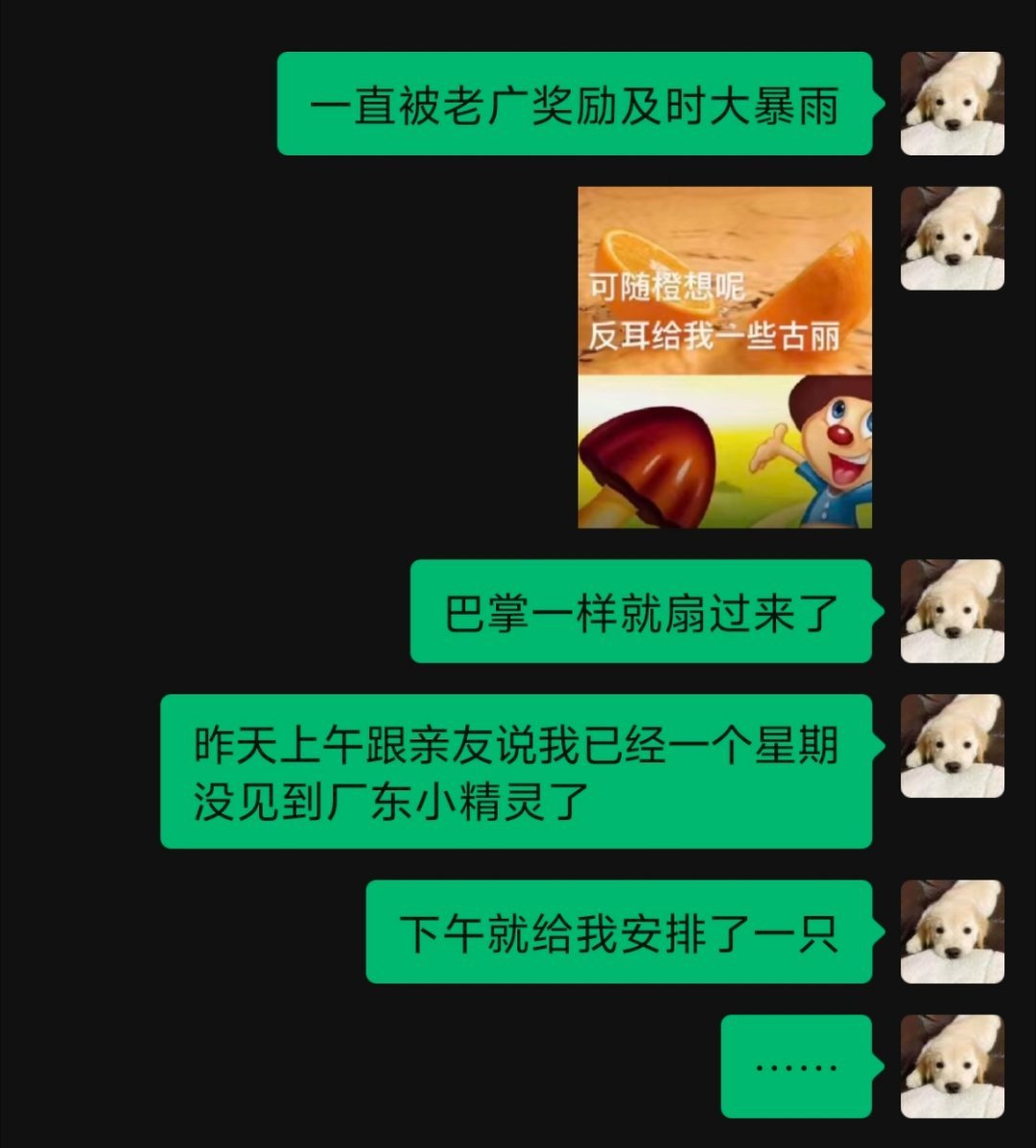 可以出一本广东人夏天活命指南 
