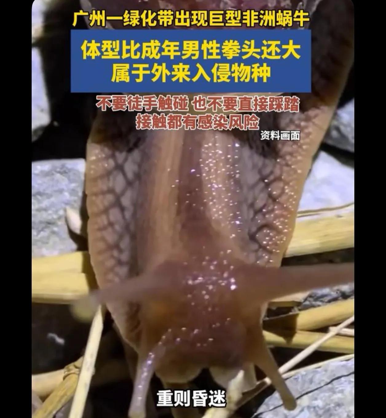 它喜欢阴湿地方是不是，这个在北方能活着么能不能给它烤干了

 罗非。清道夫。福寿