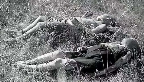 1941年，一群犹太女人被带到帕茹斯特森林，正当她们将要被处决时，立陶宛民兵成员