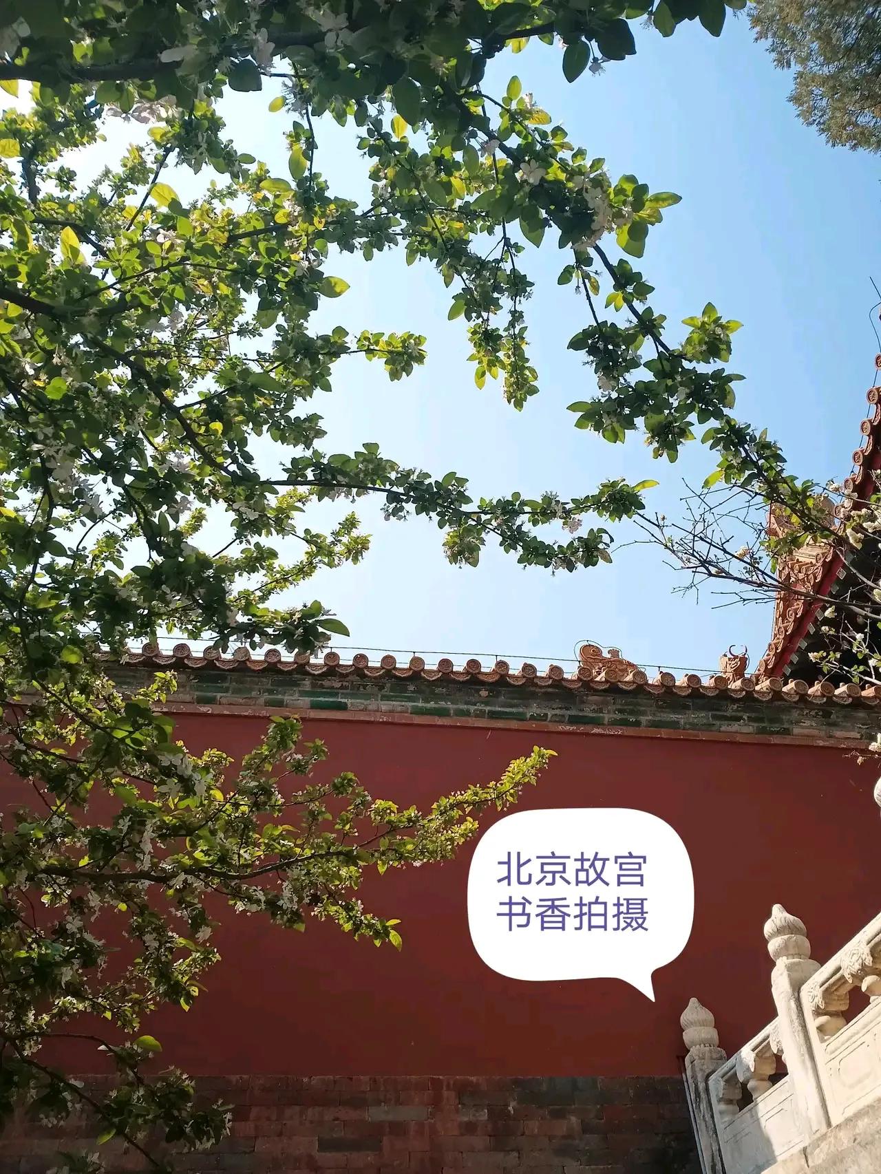 《北京的记忆》

北京是一座历史
厚重的浪漫之都
花园城市环境优美
古老与现代交