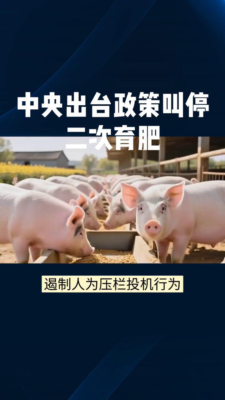 中央出台政策叫停二次育肥。
中央出台政策叫停二次育肥，引导降低生猪出栏体重。这一
