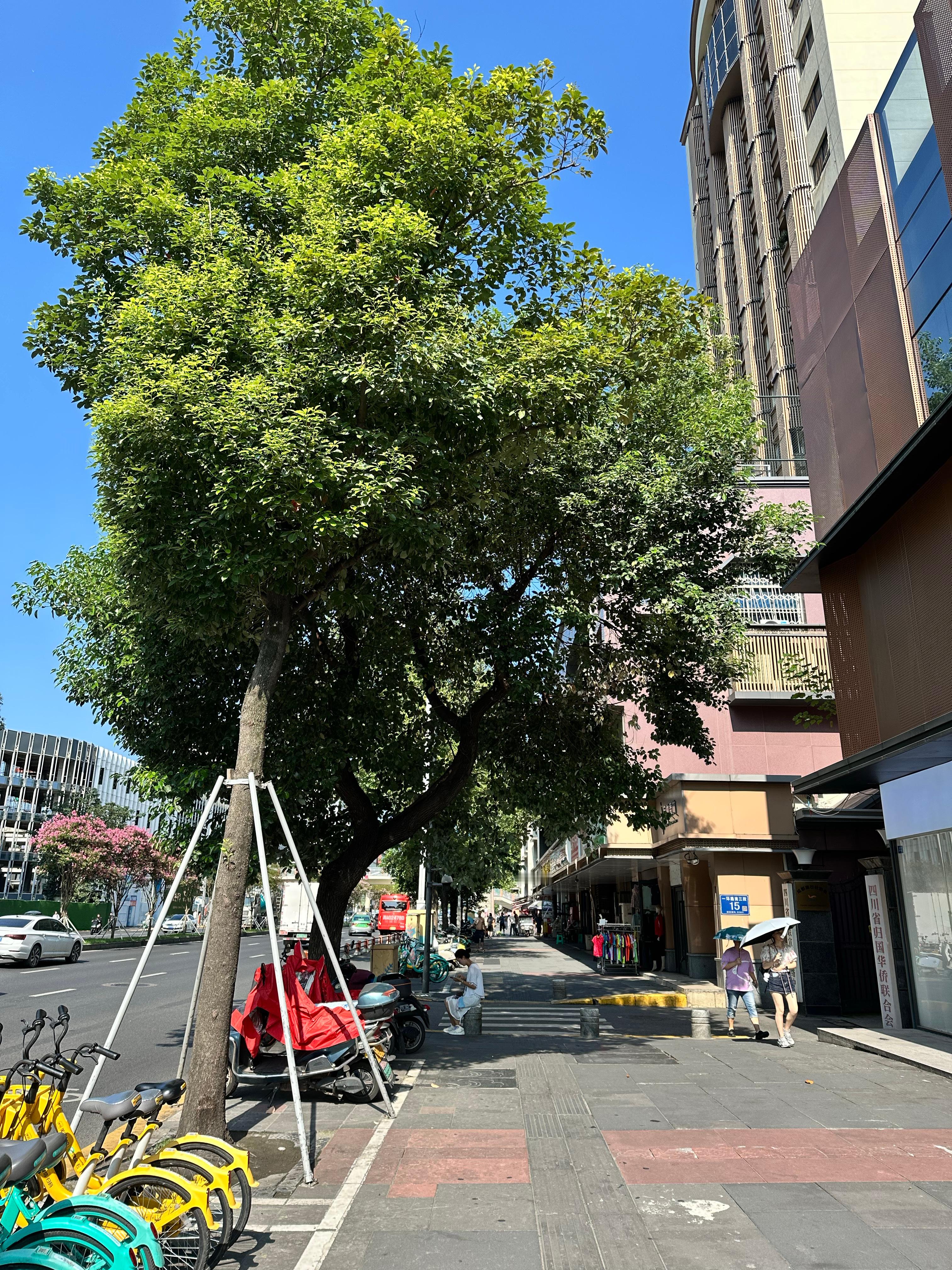 前天到成都的时候这里断断续续下大雨 今天晴了前天从北京走的时候家里断断续续下小雨