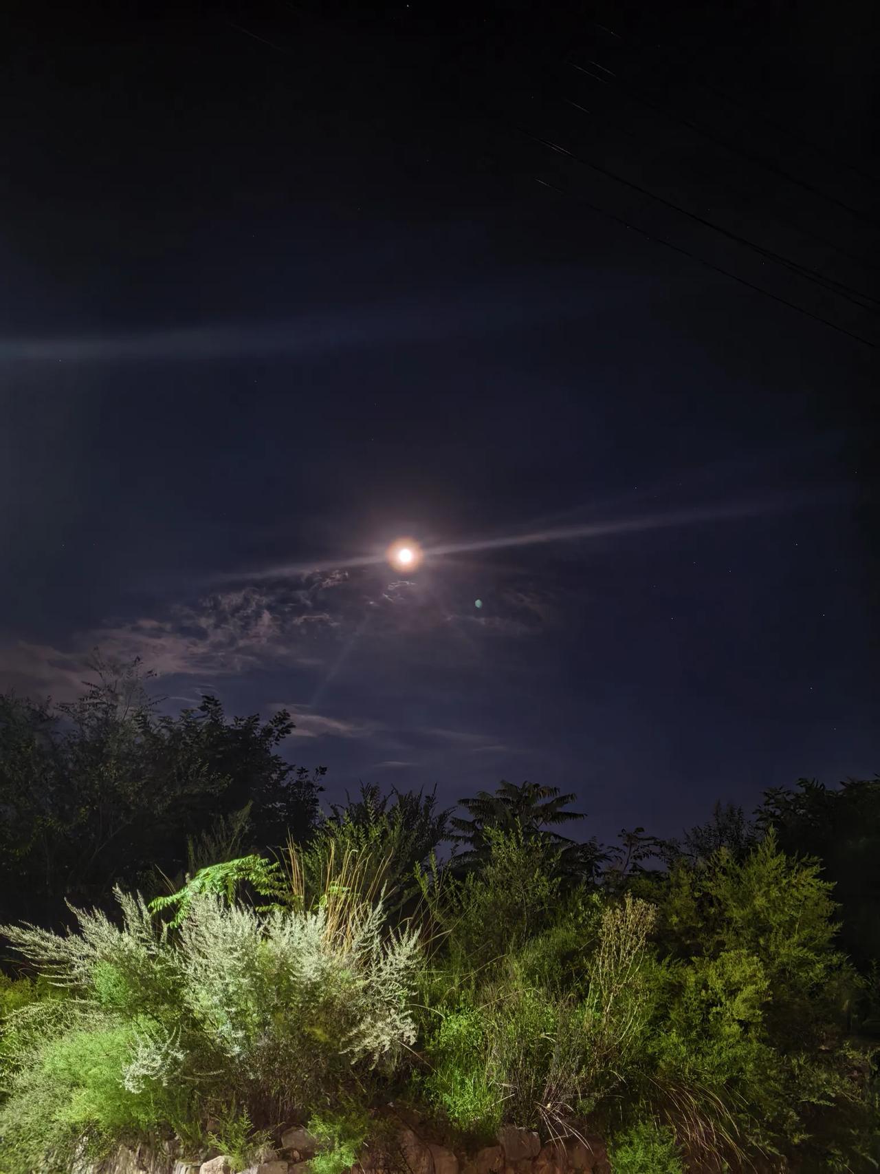 满月悬在墨蓝夜空，清辉漫过成片的草木。
晚风裹着青草香吹过，连时间都慢了半拍。