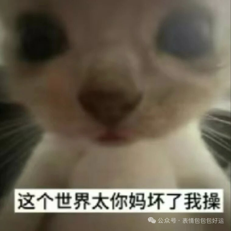 我老是在被折叠我不玩了 ​​​