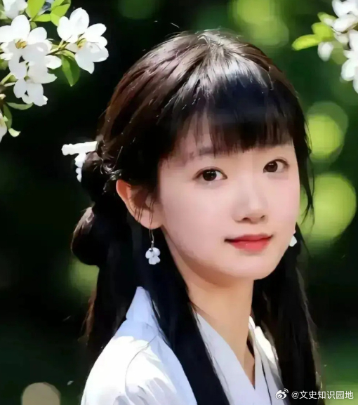 历史 1774 年，年近 60 的清代才子袁枚尚无子嗣。小妾陆姬想说服 14 岁