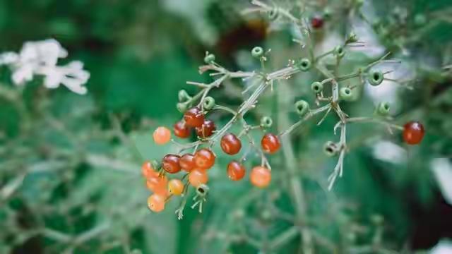 一个对家庭不忠的男人，永远都不可能是一个好父亲

我见过太多男人，在外风流快活，