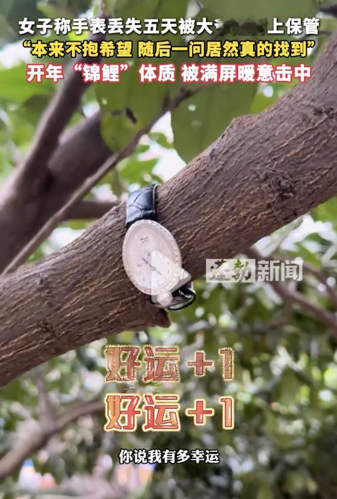“简直是太幸运了！”

1月1日，湖南长沙，女子在公园活动时，不小心将手表丢失，