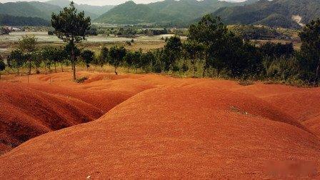 有位2015年毕业于农林大学的小朋友说，他干了坏事儿，整个人受到了反噬，凡事皆不