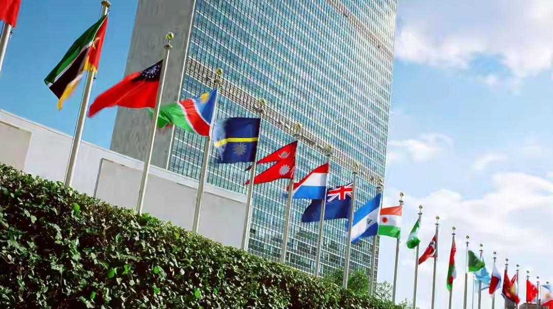 彻底翻车！美国强行插手联合国换届，结果被15国集体打脸

很多人总觉得，美国想操