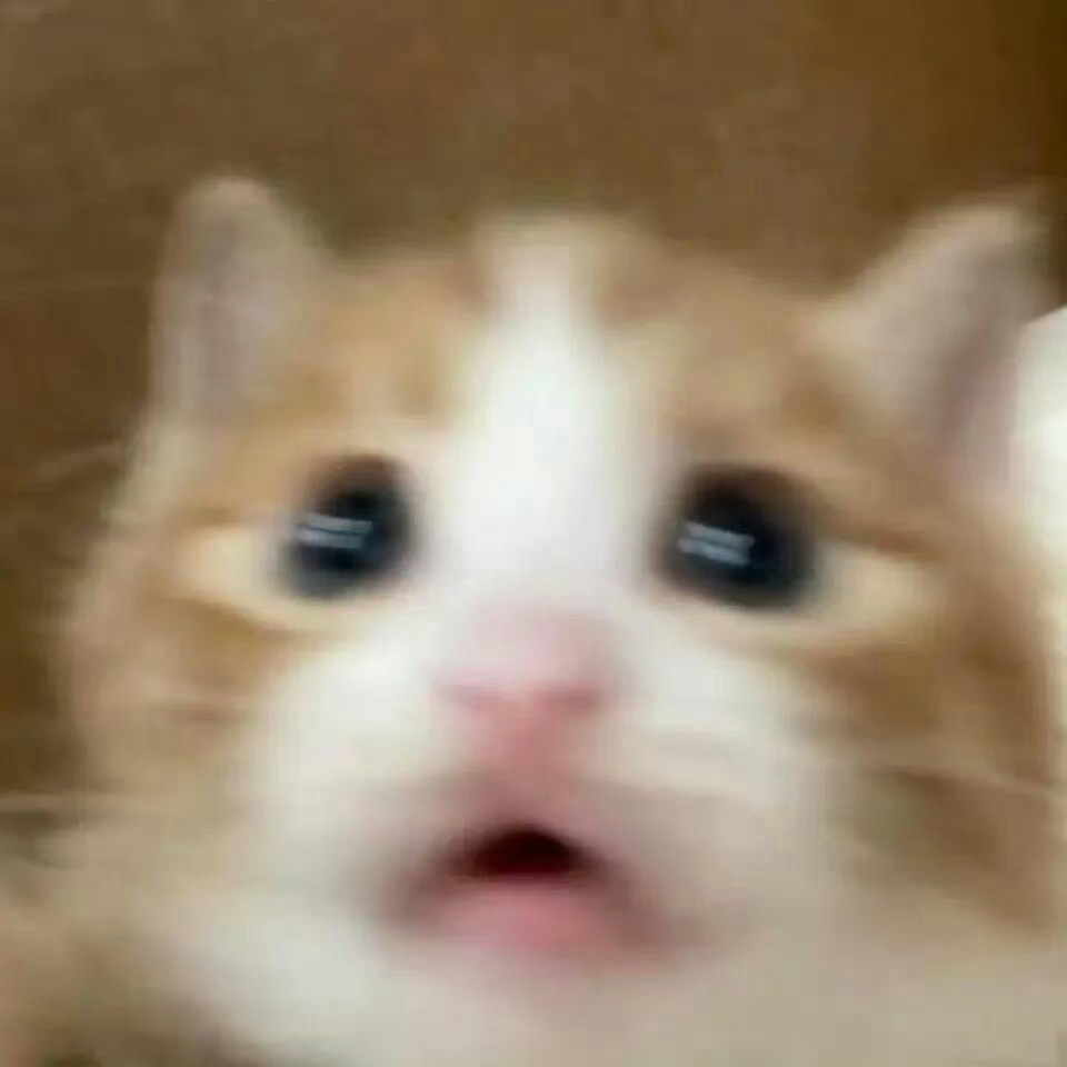 关于她靶“老婆～老公～妈妈～姐姐～”混着叫这件事，刘涛已经回应五六次了不数不知道