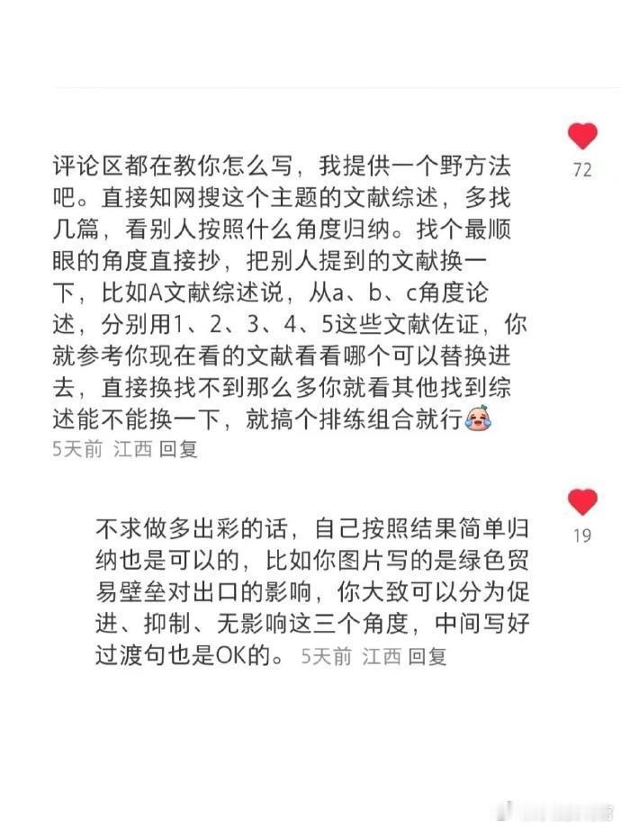我就说吧 文献综述大佬在民间 