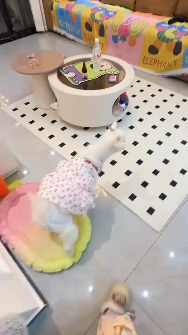 你顶我。