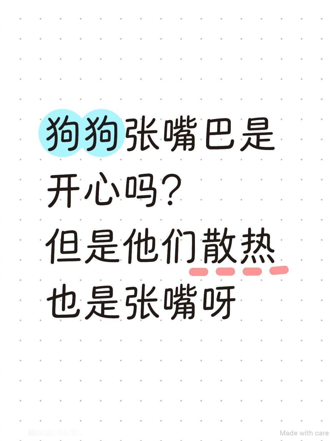 狗狗张嘴巴是开心吗？评论区好有意思[泪奔] ​​​