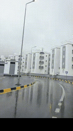 原来一个城市没有绿化真的会变丑！