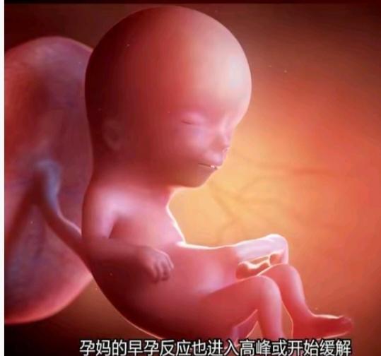 北京孕妈用电热毯致腹痛 医生警示孕期取暖需避坑
 
近日，北京一孕妇因天冷使用电