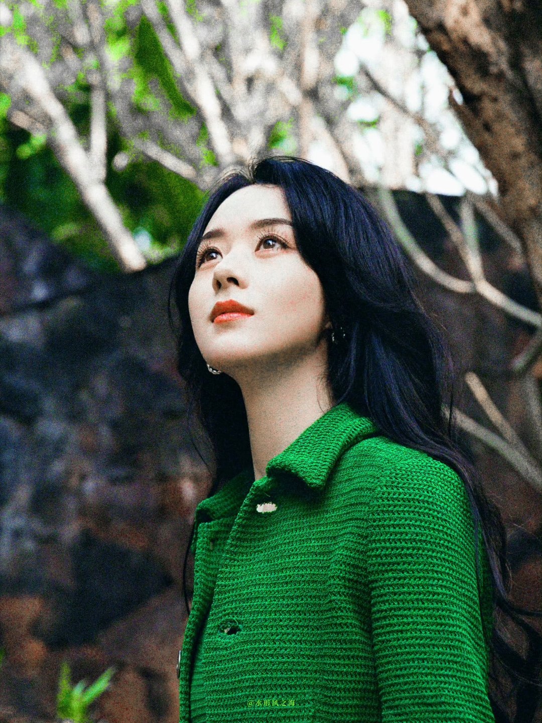 绿野仙踪🍃 യ˚ 🌿*﹆（图源）