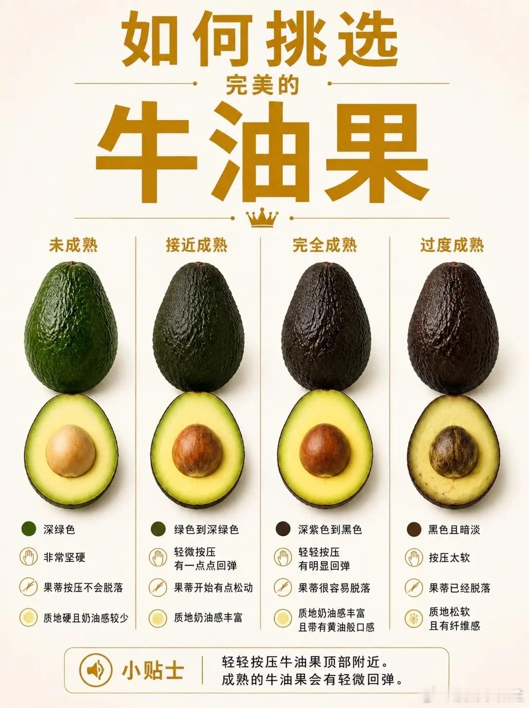 牛油果到底怎么挑？别只看颜色，学会这4个细节，一眼就能挑到“刚刚好”！牛油果（鳄