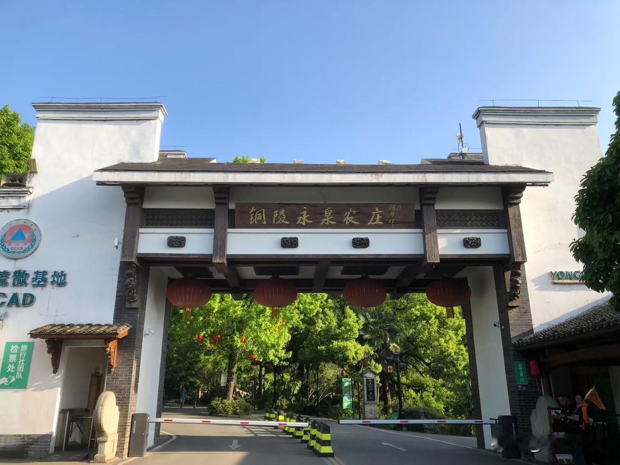 【小对联】
上：……？
下：称雄。