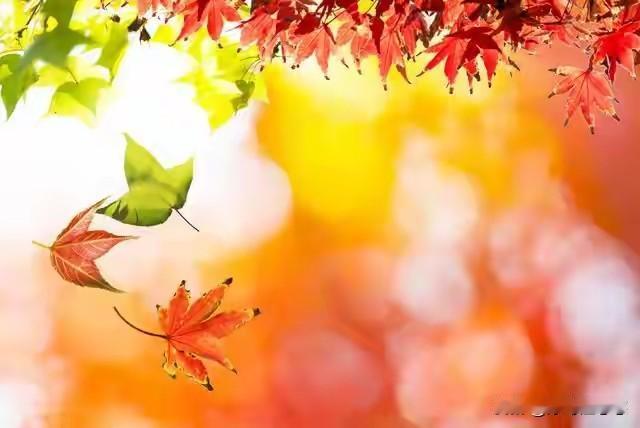 又一个因抑郁症的女孩，在6号终结了她21岁的生命，本正是如茶朝气蓬勃的年龄，却被