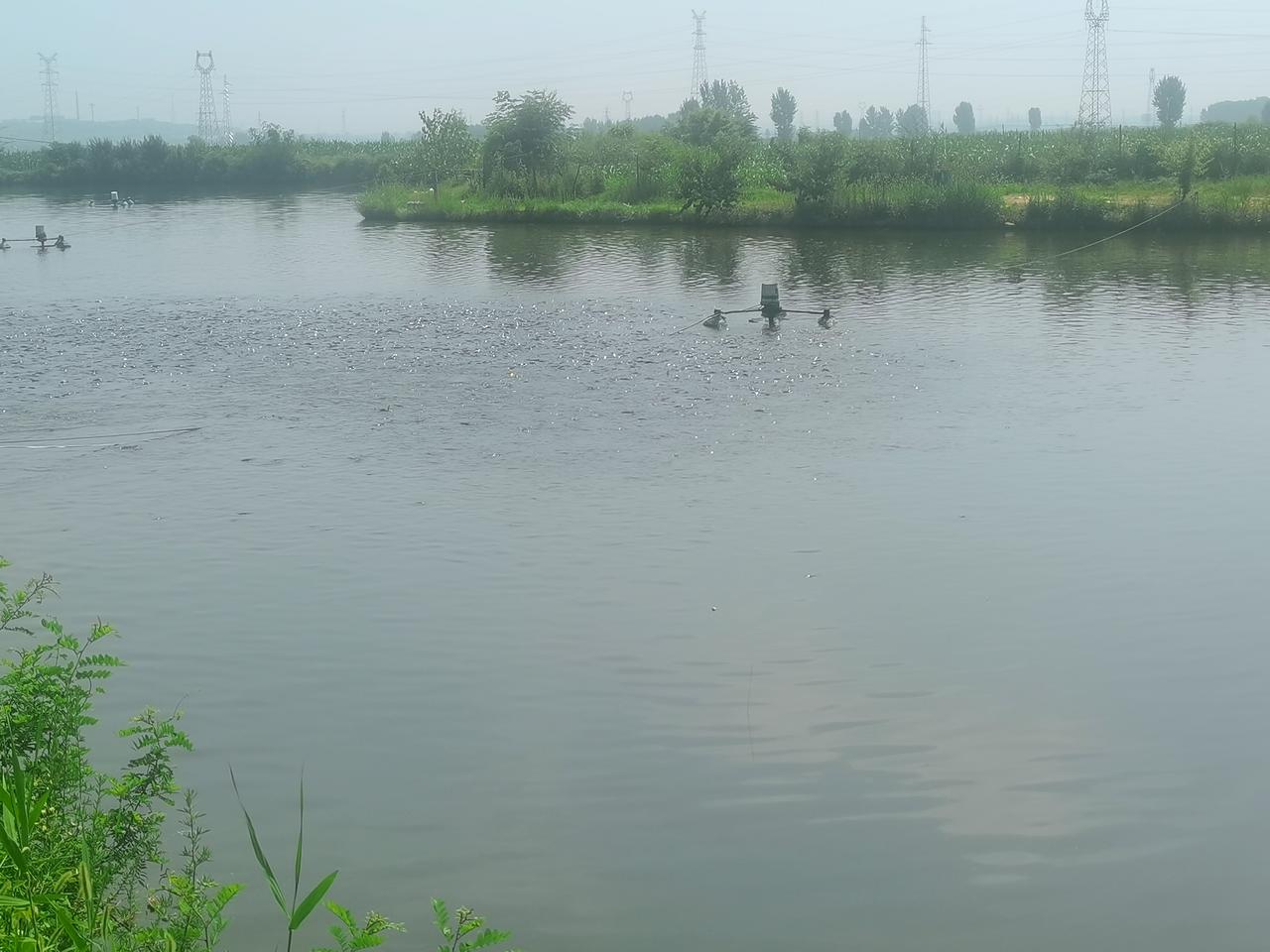 水中倒影风景实拍汝阳县蔡店乡草营湖