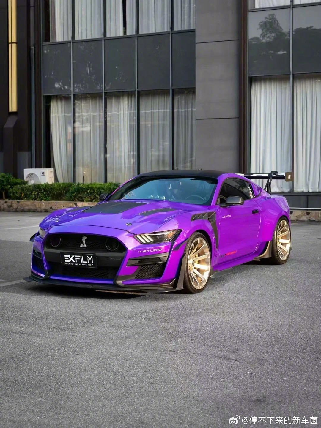 上午好，这个紫色莫名跟Mustang很搭啊