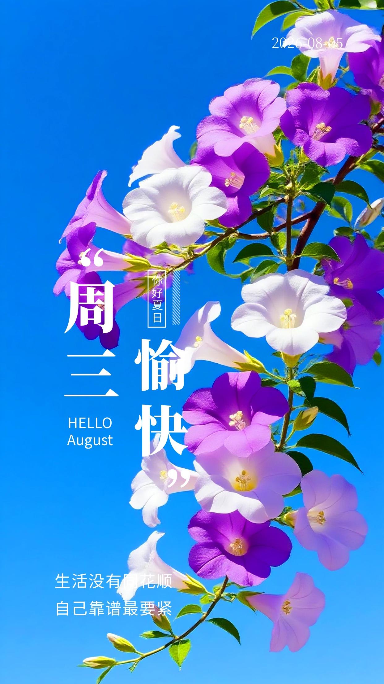 早安✨，8月5日美好的周三如约而至！夏日的阳光缓缓洒落，捎来一份温柔的问候。愿你