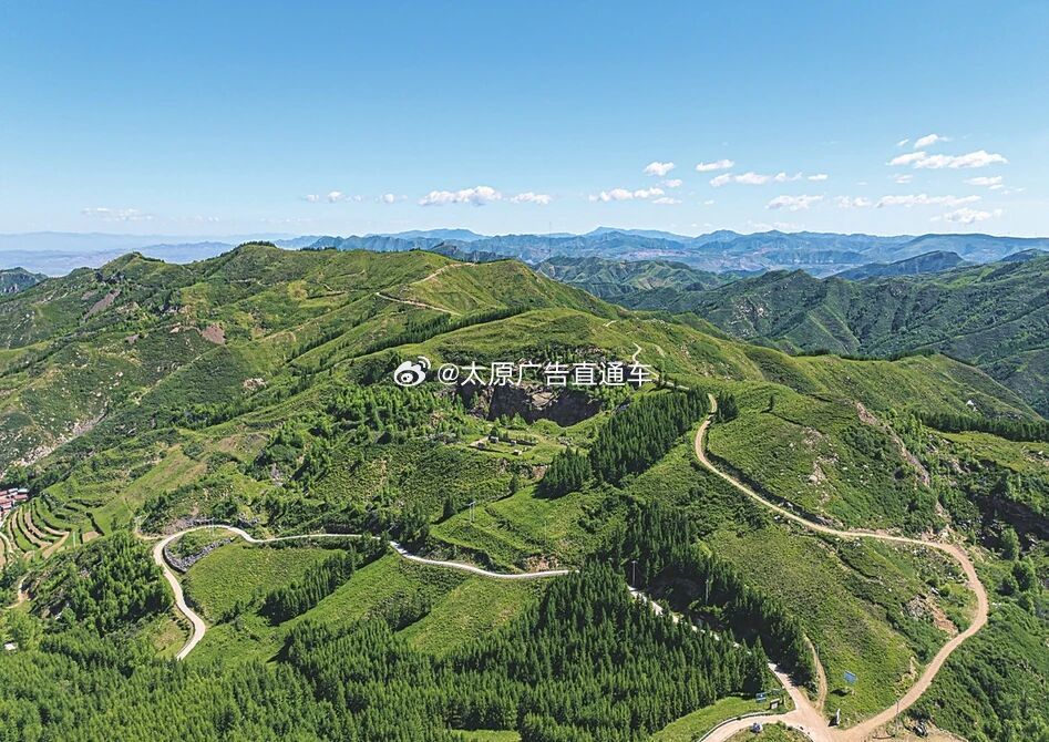 山西浑源黄芪从恒山出发踏上世界舞台    千年芪乡，香飘四海。这根生长在恒山背阴