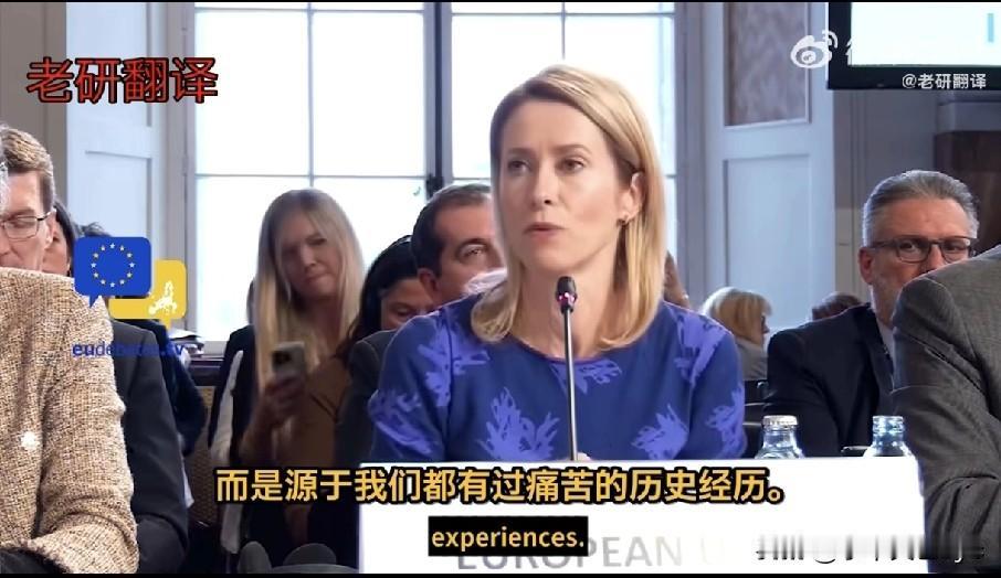 在维也纳举行的第32届欧安组织（OSCE）部长理事会上，欧盟高级代表卡娅·卡拉斯