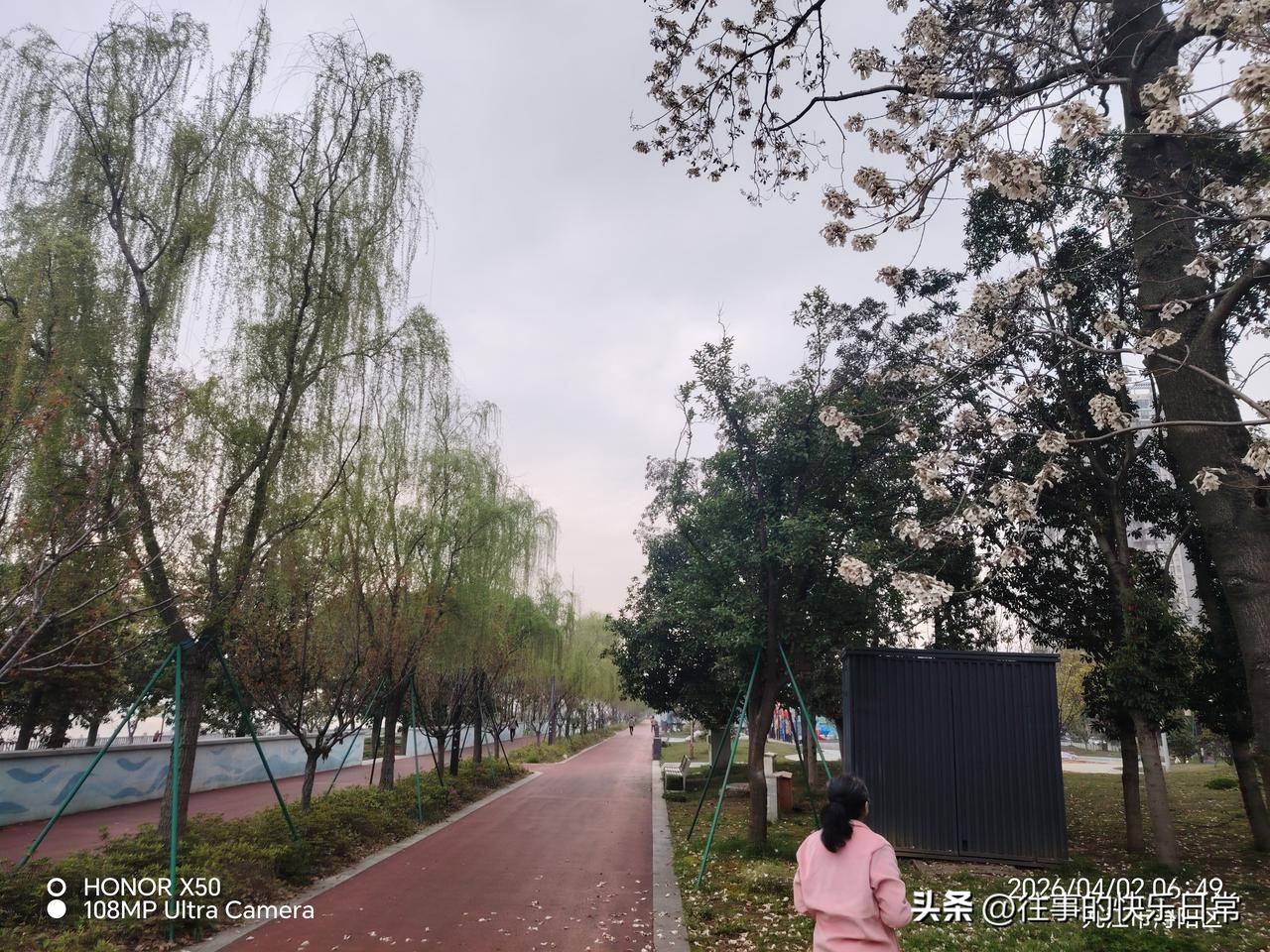 今年春天最想实现的心愿今年春天最想实现的心愿是每天坚持晨练打卡