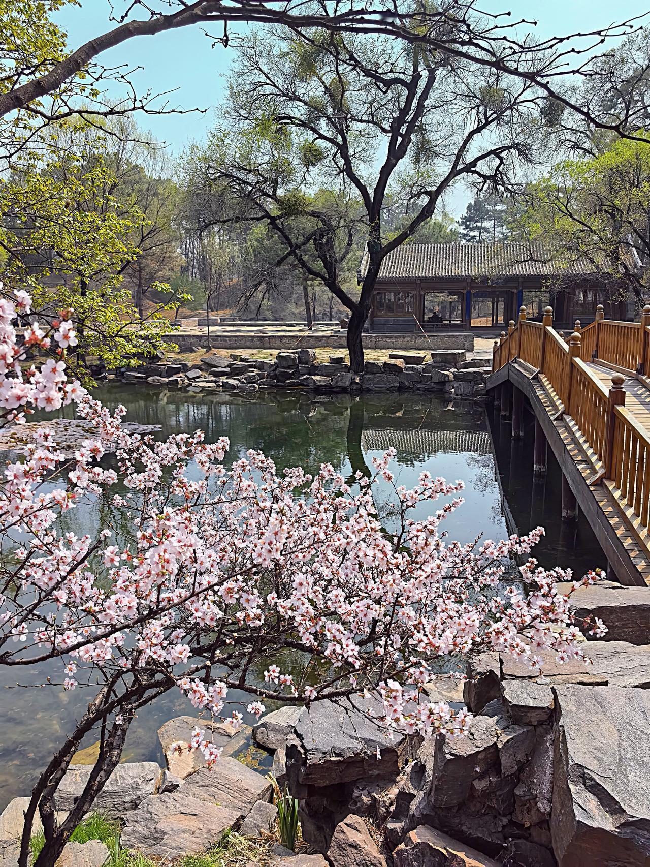 有些人带节奏映山红，其实也很好理解！他们不想看到汉族与少数民族之间更多的互动！因