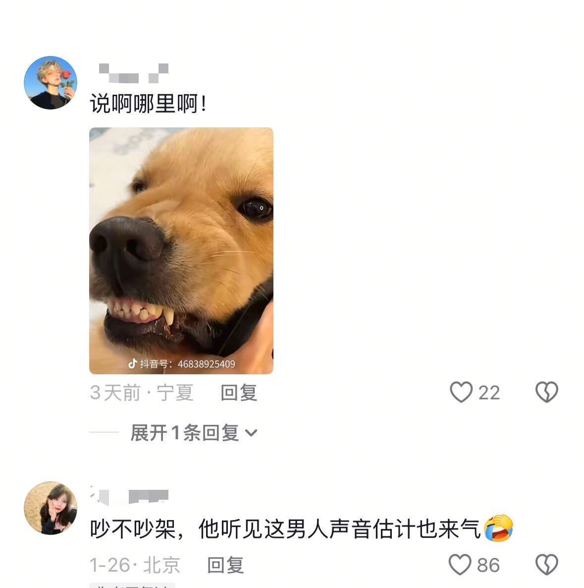给狗都听生气了😂狗子：我好不容易才安慰好 你个犊子又打电话来 