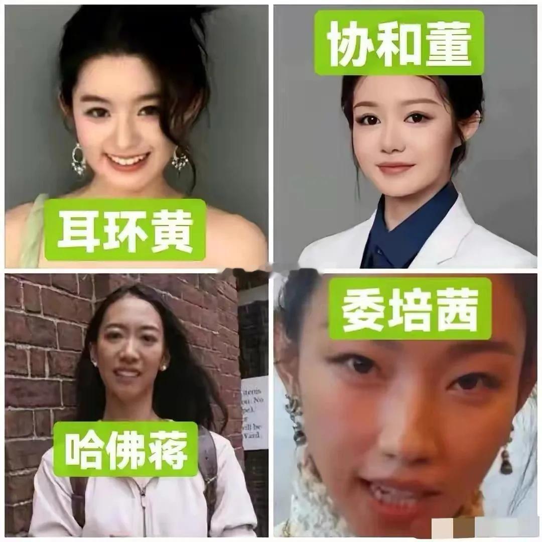 四公主来了[二哈] ​​​