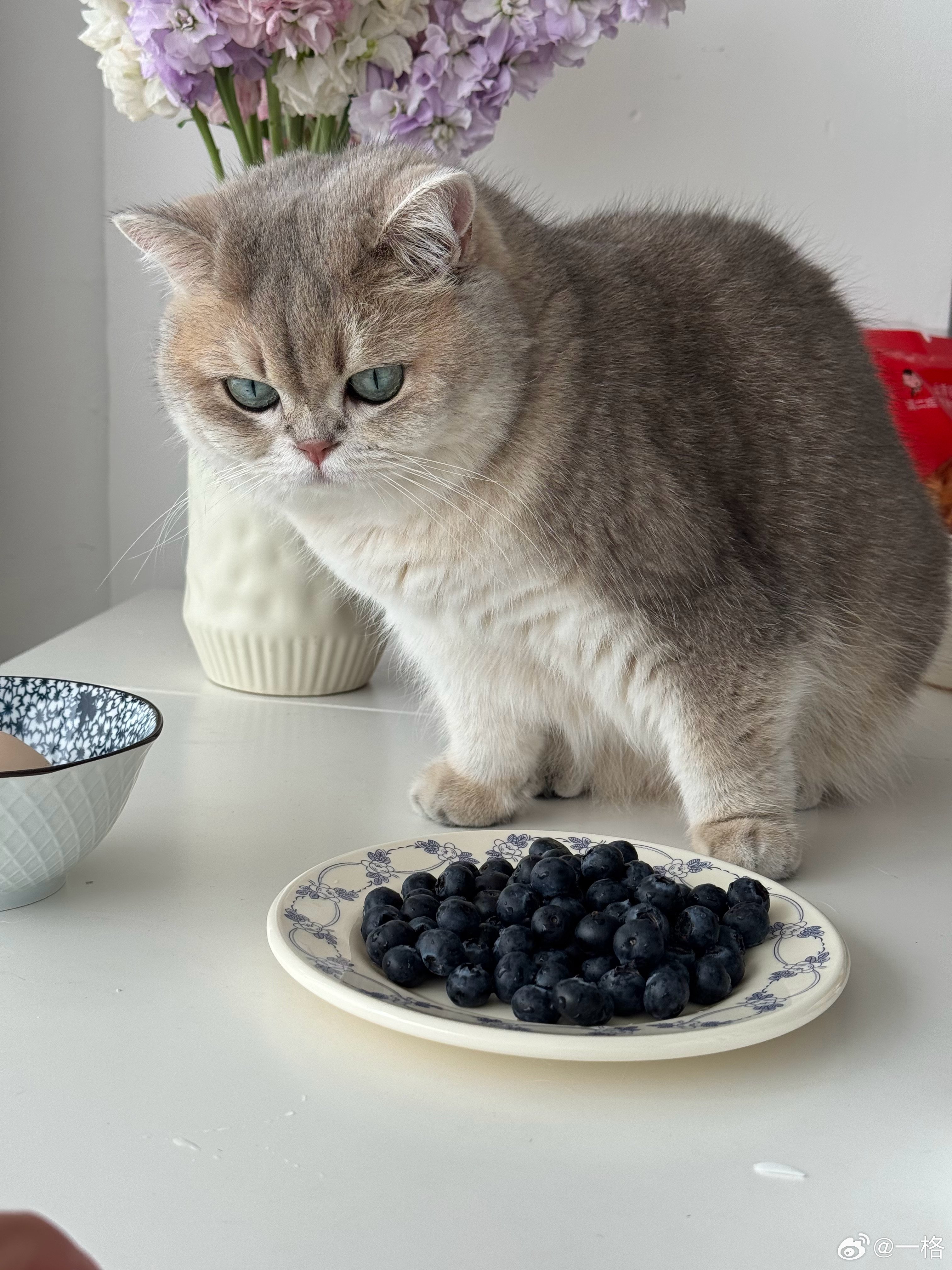 买水果还得看新疆大哥，特价蓝莓不仅实惠，品质也太好了，很甜很香！ 