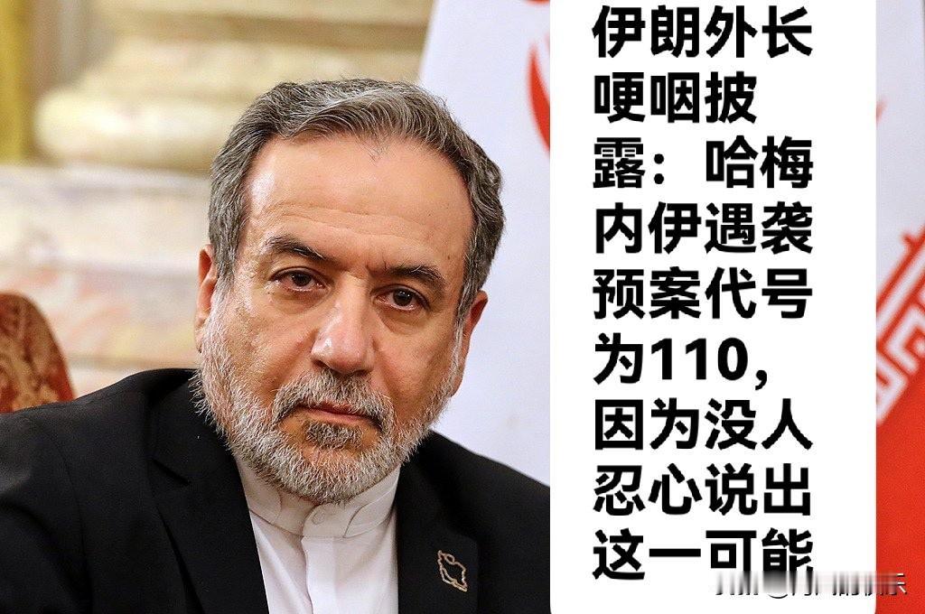 伊朗外长哽咽披露：哈梅内伊遇袭预案代号为110，因为没人忍心说出这一可能

  