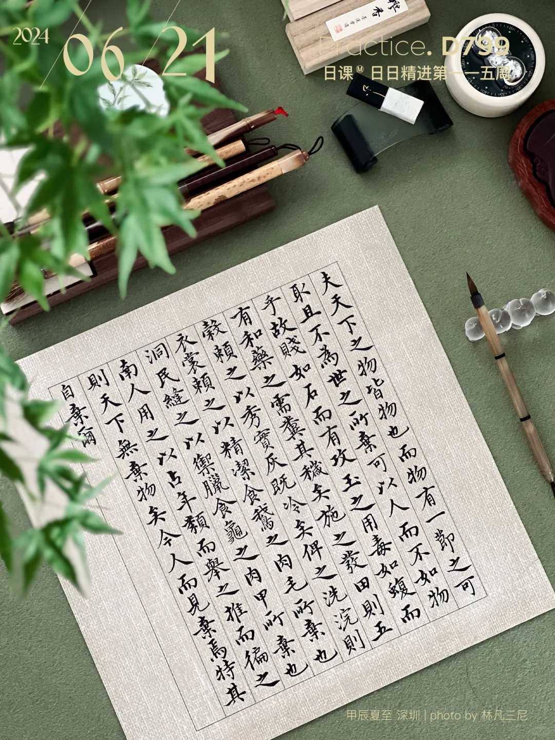 沈度不自弃说｜三日不提笔便觉面目可憎