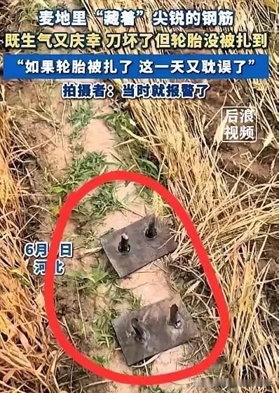 太缺德了
这是人干的事吗？
河北女子收割麦子时
发现麦田里有两根新焊的钢筋
担心