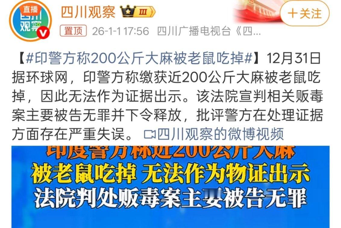 印警方称200公斤大麻被老鼠吃掉老鼠：“一觉醒来我成平账大师了”，还是你们玩得脏