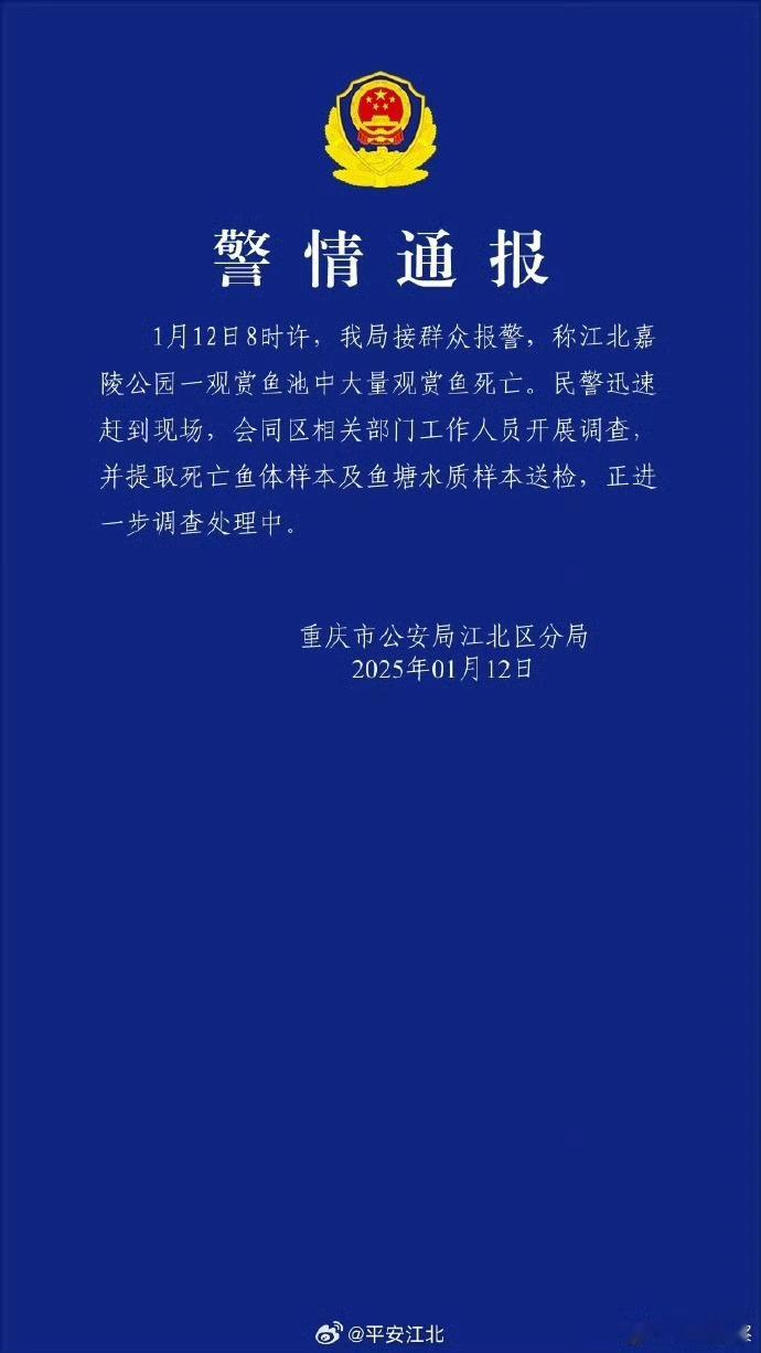 【 警方正调查观音桥锦鲤大量死亡 】1月12日，重庆观音桥步行街观赏池，一夜之间