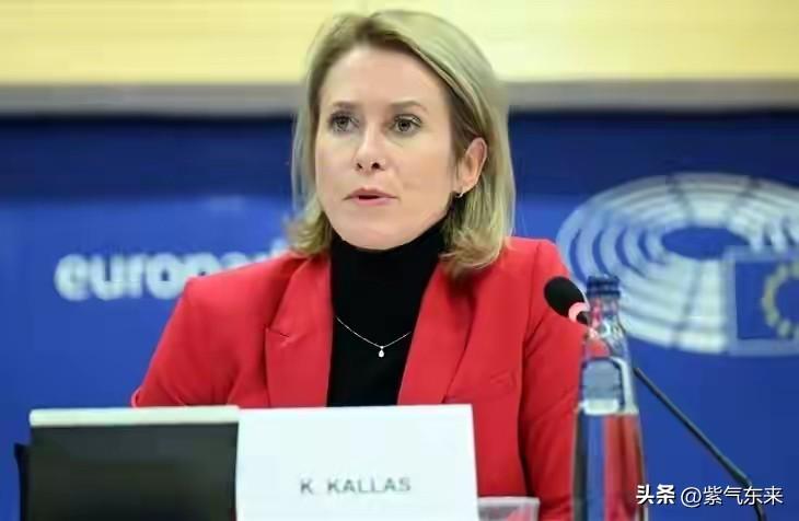 欧盟终究还是对伊朗动手了

选择了紧跟美国脚步，对伊朗实施制裁！

这是欧盟的一