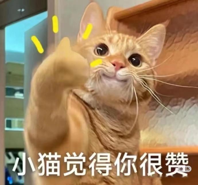 闲着也是闲着， 请2个饱饱喝奶茶！还是🍎就行！ ​  ​​​