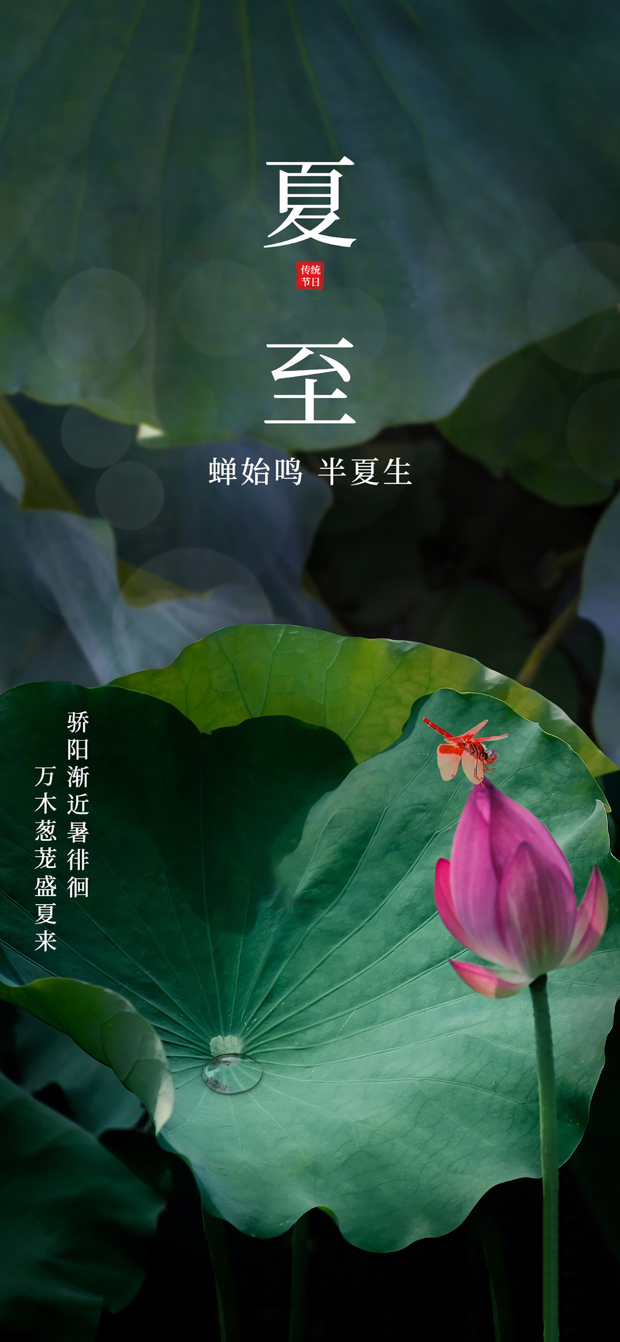 夏至了，珍惜这个昼最长夜最短的日子，虽然我这里17号才入夏，但这可是好不容易盼来