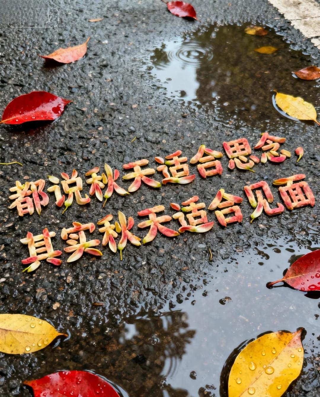 秋天的叶子飘下来

…

咋看着轻得像只小燕子，偏偏落到心口上，压得人喘不过气。