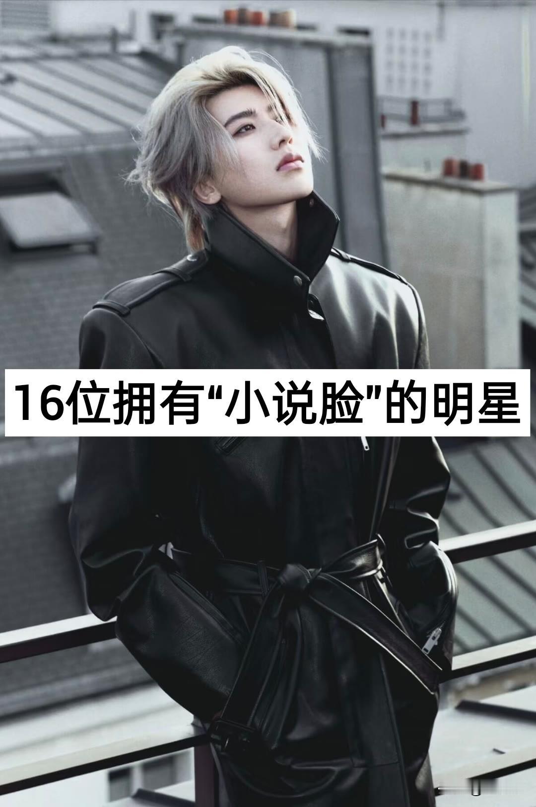 16位拥有“小说脸”的明星