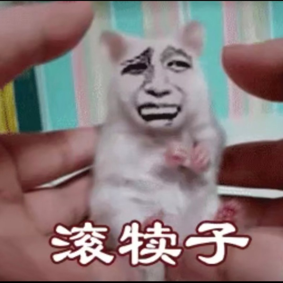 有时候真的分不清到底是别人都太蠢还是我太有钝感力 