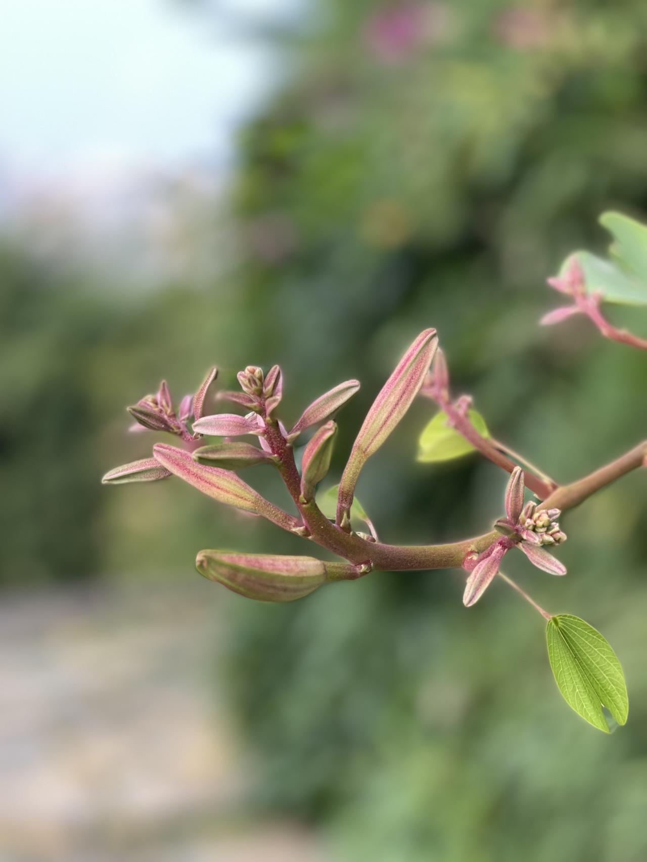 我的今日状态：🏃‍➡️运动
我这里的天气：🌈雨过天晴