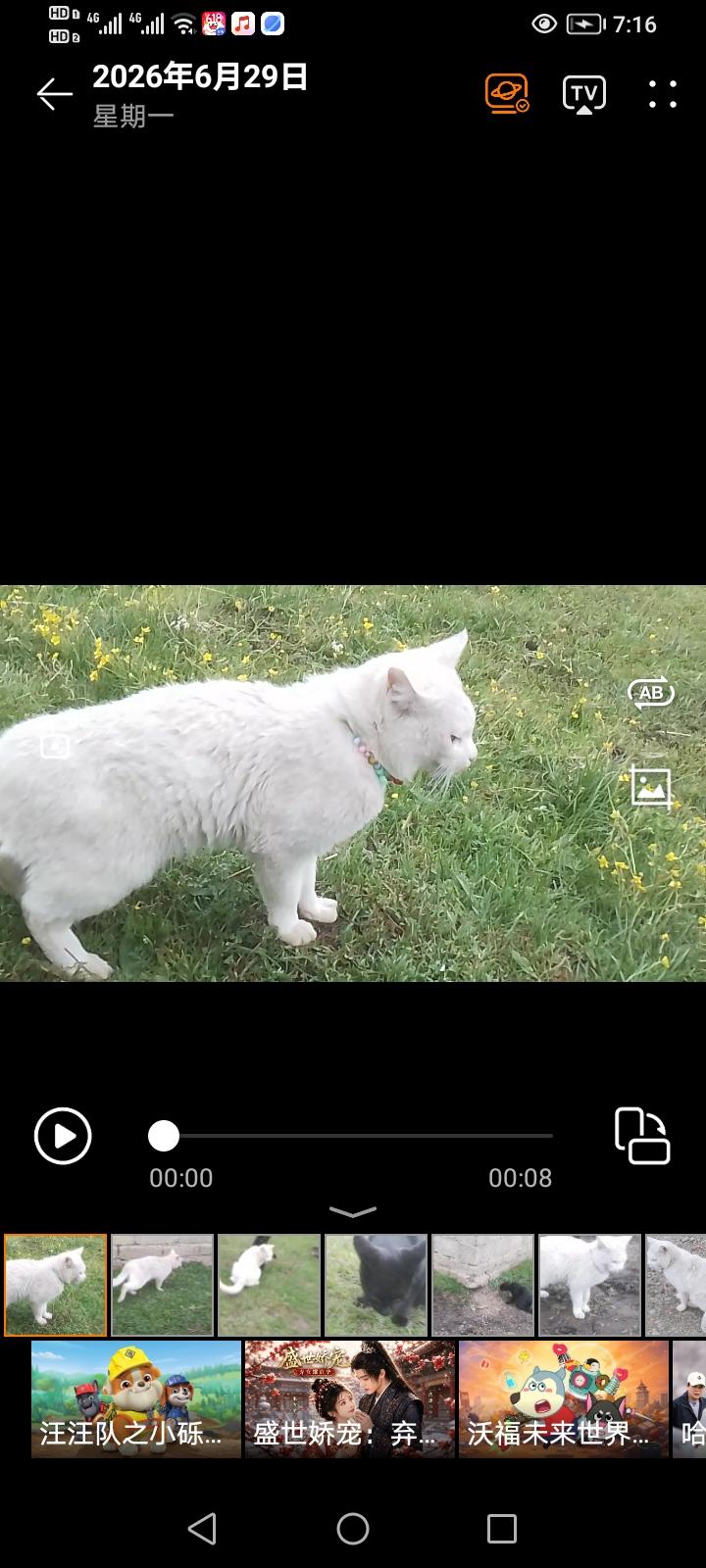 这画面太有意思了！白雪公主追着黑猫跑，打打闹闹的，感觉就像一场奇妙的童话剧在我家
