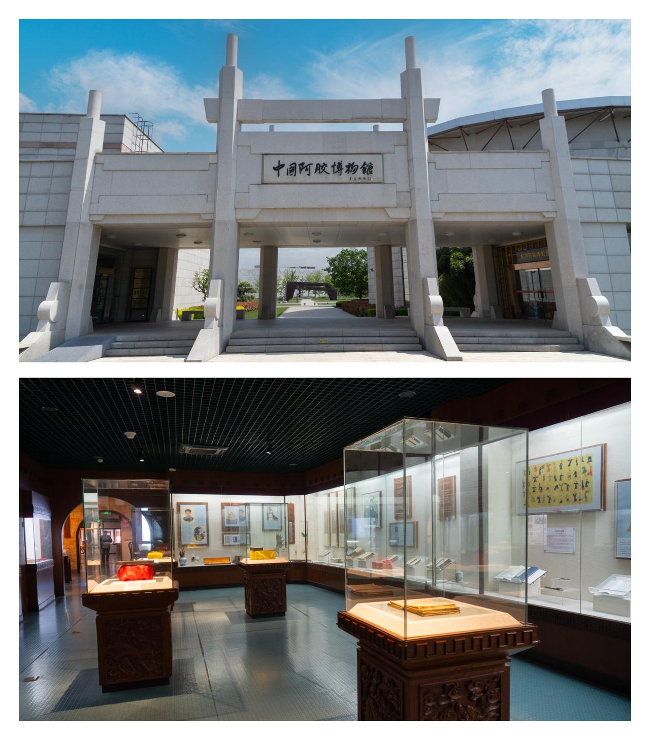 繁花漫染全城，春日氛围感拉满，花开聊城，笑聚东阿!2026聊城五一文旅消费季如约