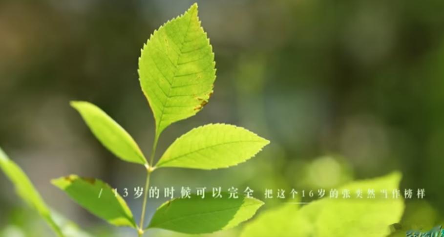 13岁的张奕然和16岁的张奕然都是我们最棒的榜样 