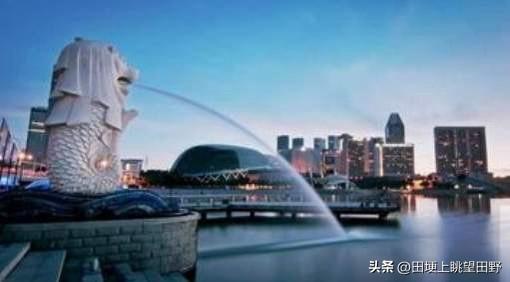 新加坡这小岛国，跟咱作对的小动作还真不少。中美起冲突它挺美国，中日起冲突它挺日本